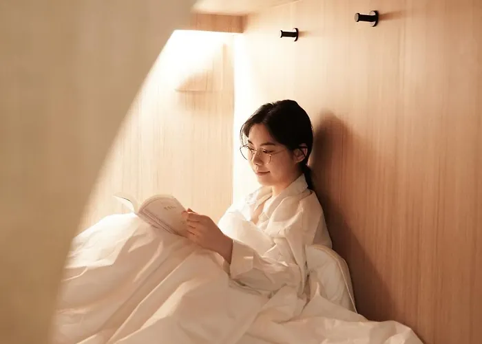 D A L Premium Capsule Hotel a capsule *