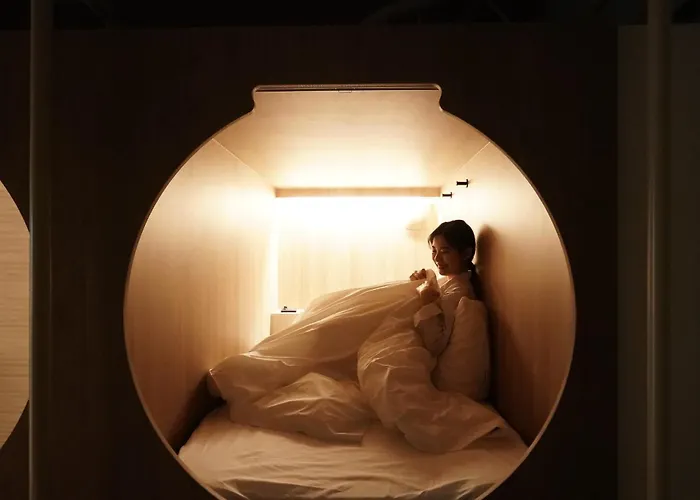 D A L Premium Capsule Hotel a capsule